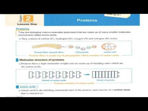 Video presentation: البروتين 