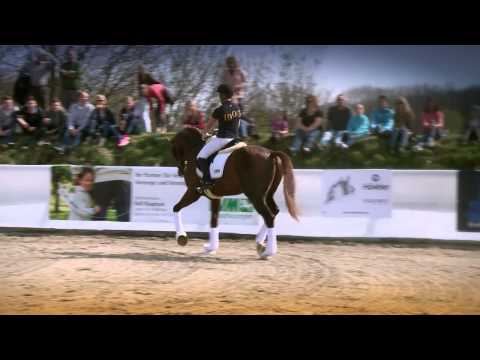 Duvalier v. Don Juan de Hus x Belissimo M