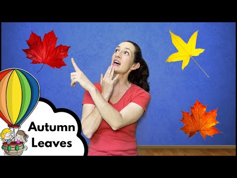 Autumn Leaves Are Falling Down | Sign Language Song 🎶| Music Time with Andy and Suzanna