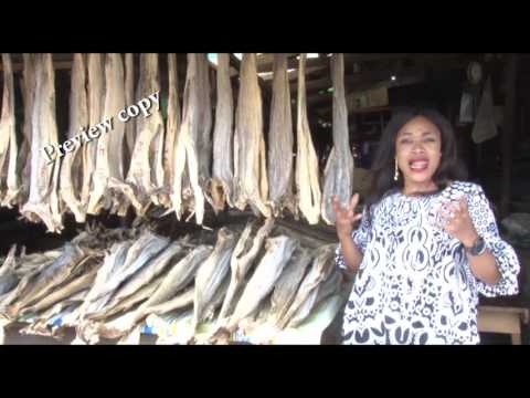download lagu mp3 mp4 Dried Stockfish For Sale, download lagu Dried Stockfish For Sale gratis, unduh video klip Dried Stockfish For Sale