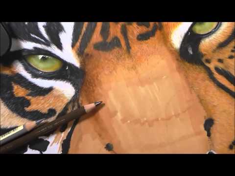Fearless - Coloured Pencil Drawing Timelapse