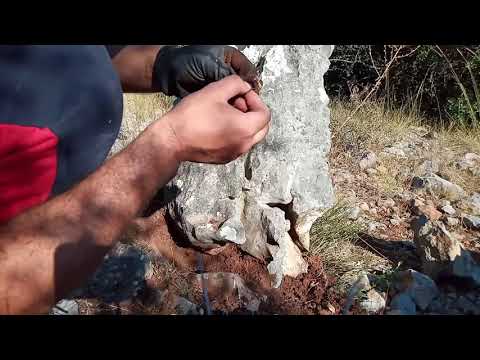 Gerçek Define Kasasını Kırarak Açma Anı !!!