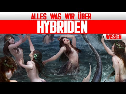 Alle "Hybriden" aus The Witcher 3: Wild Hunt und Mehr - Witcher Lore - LoreCore