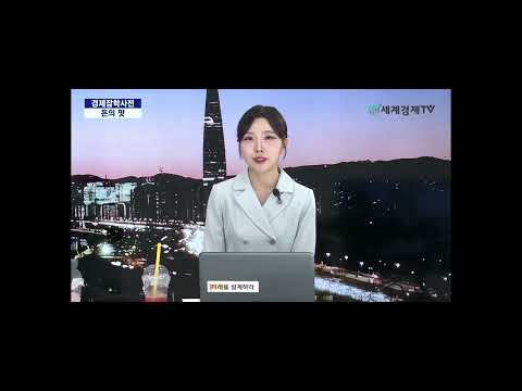 비디오 8