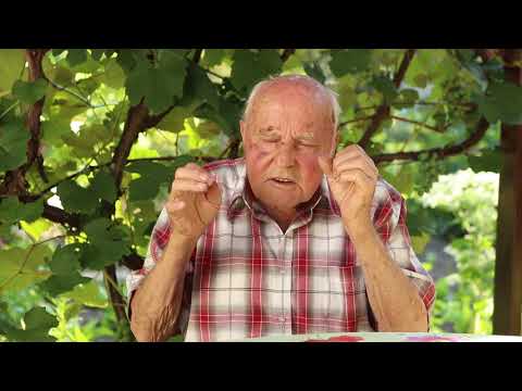 oglarji volinjak slavko