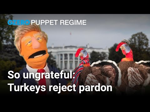 Turkeys reject Trump's pardon | PUPPET REGIME