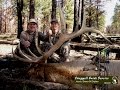 Arizona Elk Hunting- Unit 9 Arizona Archery Elk ...