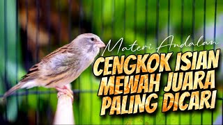 Download lagu MATERI ISIAN MEWAH JAWARA - MASTERAN KENARI ISIAN BLACKTHROAT GACOR DURASI PANJANG CENGKOK SYAHDU mp3 Download lagu MATERI ISIAN MEWAH JAWARA - MASTERAN KENARI ISIAN BLACKTHROAT GACOR DURASI PANJANG CENGKOK SYAHDU mp3