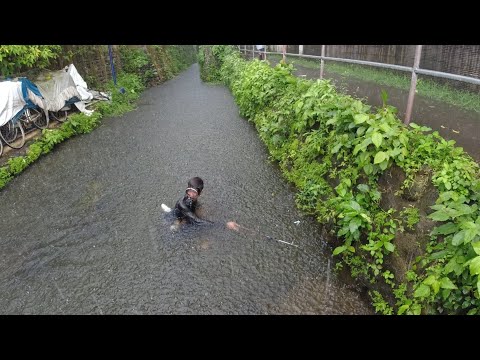 SE03EP127 - PAG SALUBONG sa UNOS | San Pablo City, Laguna