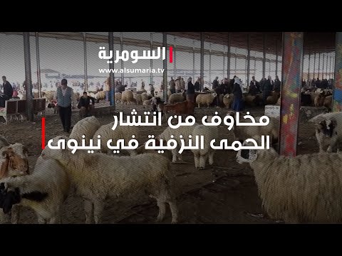 شاهد بالفيديو.. مخاوف من انتشار الحمى النزفية في نينوى
