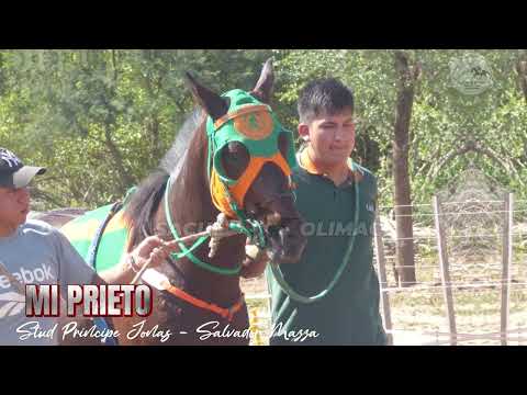 MI PRIETO VS QUEMATIERRA
