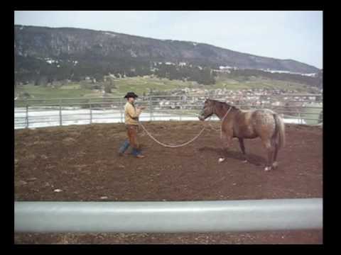 Romeo en débourrage