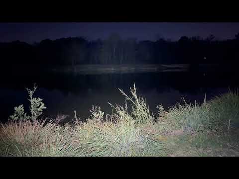 PowerTac Explorer HL-10 Headlamp Review and Field Test