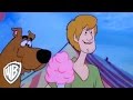 Scooby Doo Scooby Nocchio