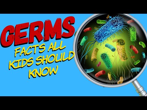 What are Germs?