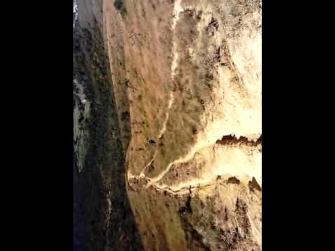 trilha cachorro louco