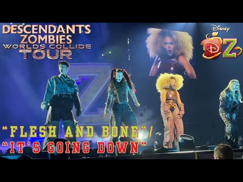 “Flesh and Bone” / “It’s Going Down” Mashup – Live from Worlds Collide Tour (San Jose)