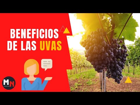 Alcachofa para adelgazar inyectable anticonceptivo