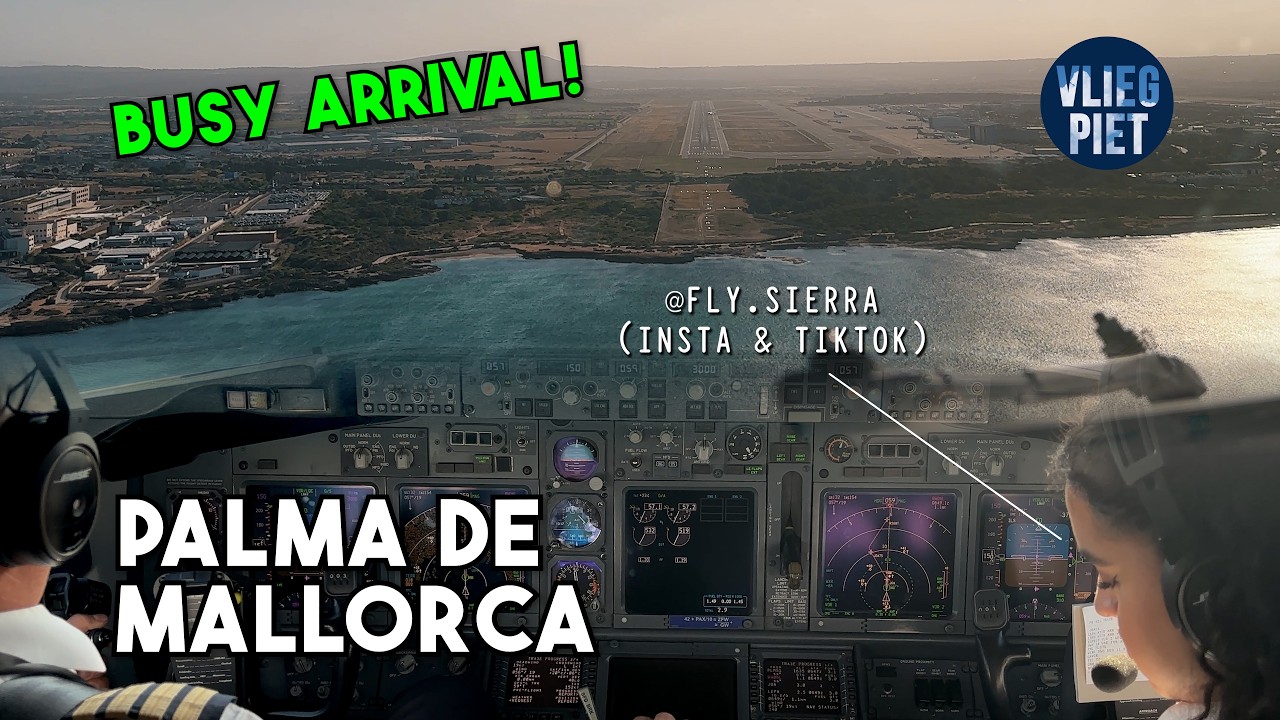 Cockpit Perspective: B737 Sunrise Landing in Palma de Mallorca | 360° Turn on Arrival to RWY 06L