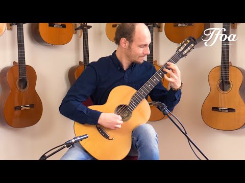 Ländler Op. 9 / Nr. 4 - J.K. Merz | Hermann Hauser Vienna 1924 played by Tim Panman