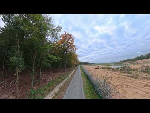 15.10.25 unterwegs am rodungsbedrohten Langeler Bannwald bei Frankfurt