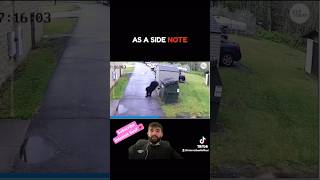 Bear Attack from a Dumpster