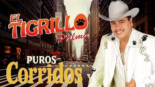 🔥 El Tigrillo Palma | Corridos Perrones de Pura Calidad 💯 ¡Grandes Éxitos!