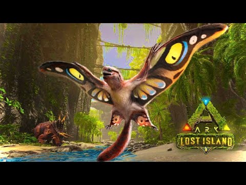 Everything You Need To Know About Sinomacrops!