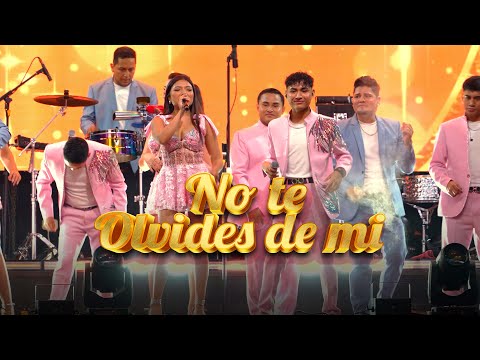 No Te Olvides De Mi - Amaya Hermanos Ft. Caribeños De Guadalupe (Session Live)