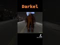 Who is Darkel? (GTA 3 Iceberg) #shorts