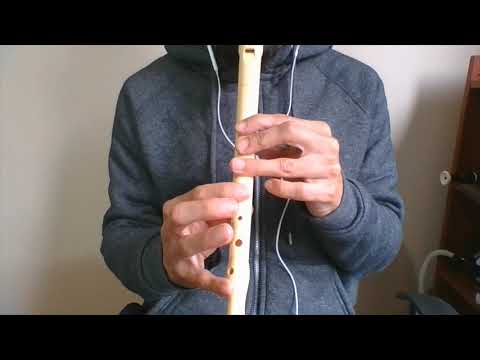 🎵  CÓMO TOCAR THE SCIENTIST EN Flauta dulce | TUTORIAL 🎶