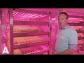 Verticaal groente verbouwen in high tech-boerderij: 'Heel vers'