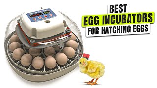 3 BEST Incubators for Hatching Eggs on Amazon - Your Flock’s Future Starts Here!