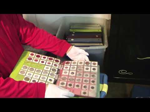 My MASSIVE Foreign Coin Collection!