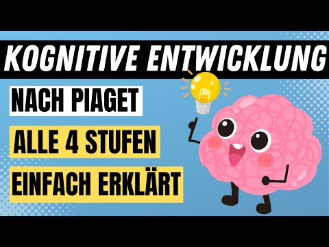 Theorie der KOGNITIVEN ENTWICKLUNG nach Piaget - Stufen der kognitiven Entwicklung | ERZIEHERKANAL