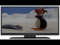 Pingu Plays Fish Tennis