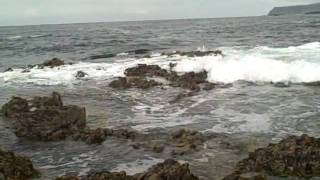 Wild in Scotland Orkney Tour Vid -  Crashing waves NW coast.AVI