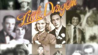 Little Dragon- Brush The Heat