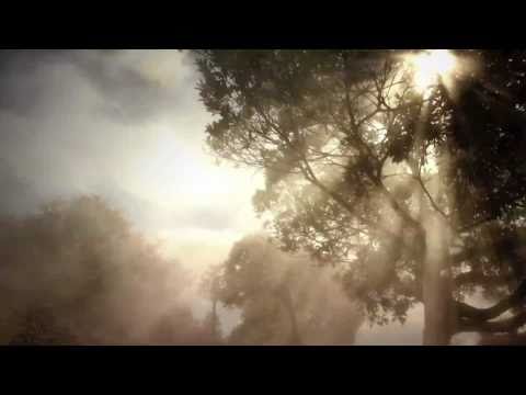 Amazing Love You Are My King video