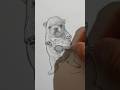 Wash My Bellay Pibble Shorts Drawing Viral Pibble Viral Trendingshorts