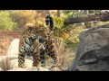 The LA Zoo Jaguars Get A New Home