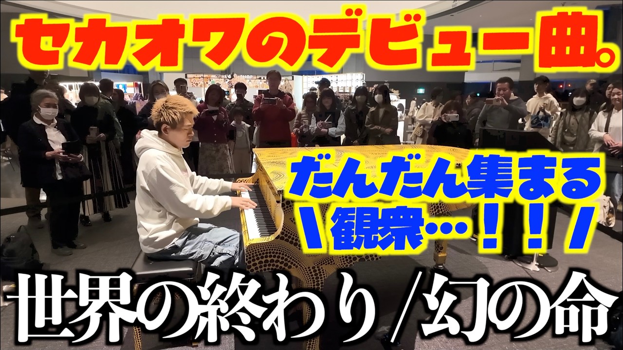 [ストリートピアノ]セカオワのデビュー曲｡夜の都庁で｢幻の命｣しっとりと弾いてみた[SEKAI NO OWARI]