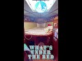 Bella's Room the V berth