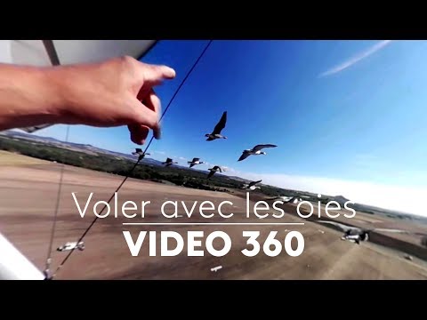 download lagu mp3 mp4 Christian Moullec, download mp3 Christian Moullec free download, download mp3 Christian Moullec