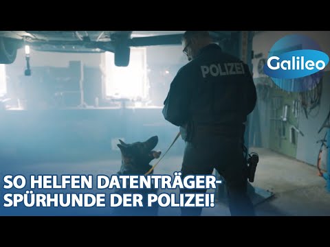 Video Thumbnail: Betrug, Diebstahl, Stalking: So helfen Datenträger-Spürhunde der Polizei!