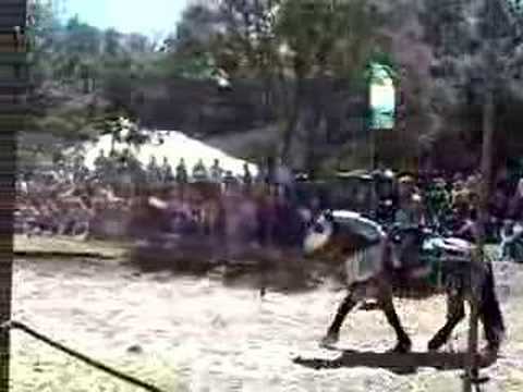 More pre-joust riding