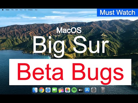 MacOS Big Sur Beta 1 Bugs FIRST LOOK
