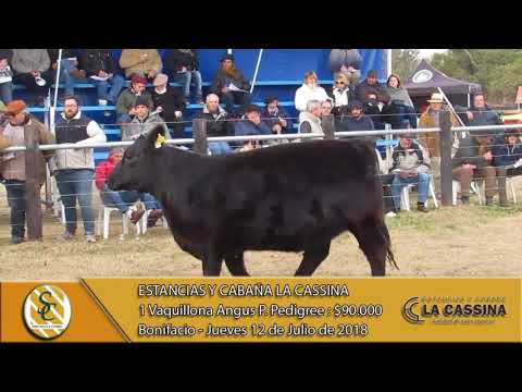 12-07-18 Discurso de R. Cassini y Venta de Vaquillonas - Estancias y Cabaña La Cassina - Bonifacio.