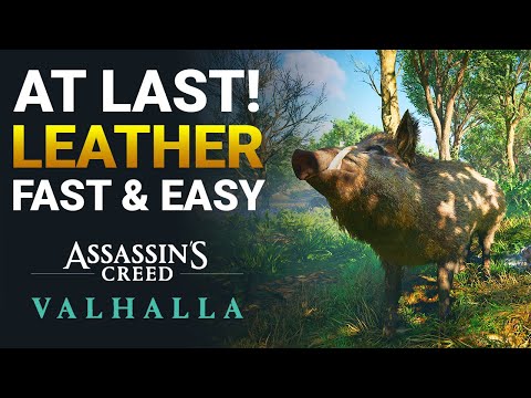 Assassin's Creed Valhalla: Best Leather Farming Spot (NEW!)