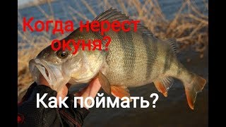 Ссылка